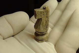 Hallaron una pieza de ajedrez en el terreno de la Batalla de Vuelta de Obligado