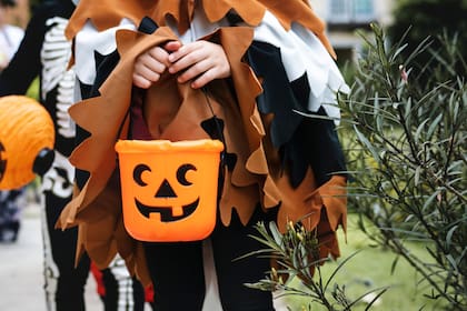 Halloween se celebra el 31 de octubre
(Freepik/rawpixel.com)
