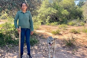 Sale todos los días a cazar para que sus hijos no se acuesten con hambre