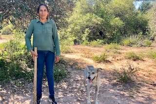 Sale todos los días a cazar para que sus hijos no se acuesten con hambre