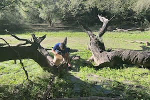 La familia que toma agua de una laguna contaminada para sobrevivir