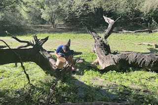 Toman agua de una laguna contaminada para sobrevivir