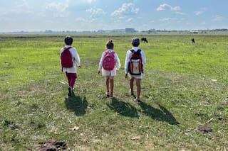 Un recorrido a lo largo del país muestra la tragedia educativa: chicos escolarizados que no saben leer