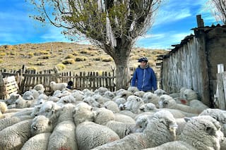 Los desafíos que enfrentan los productores rurales