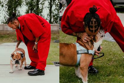 Hamilton adoptó una dieta basada en plantas, una decisión que ahora también ha extendido a su fiel compañero, un bulldog francés de 12 años llamado Roscoe (Foto Instagram)