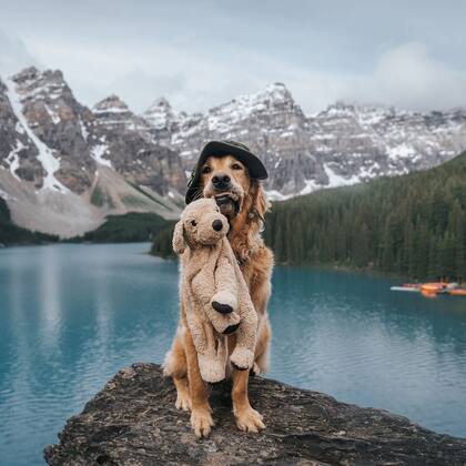 Hana decidió crear una cuenta de Instagram para compartir las aventuras de su mascota y nombró al peluche Shrimp (Instagram: @gumbowithshrimp)