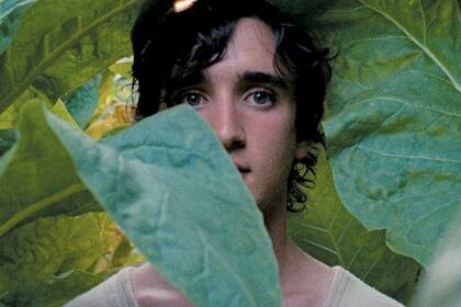 Happy as Lazzaro