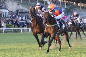 Las Monjitas ganó el Gran Premio Jockey Club con un potrillo que compró hace sólo dos meses