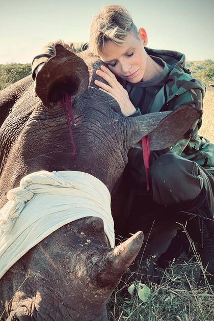 "Har cualquier cosa para proteger a los rinocerontes, incluida la recaudacin de fondos y la educacin de mis hijos sobre la conservacin de los rinocerontes", dijo, dejando claro que implicar a Jacques y Gabriella en este tema