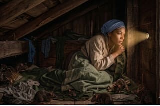 Escapó de la esclavitud y se escondió 7 años en un altillo para ver crecer a sus hijos