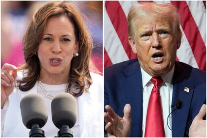 Harris y Trump se enfrentarán en los comicios el próximo 5 de noviembre