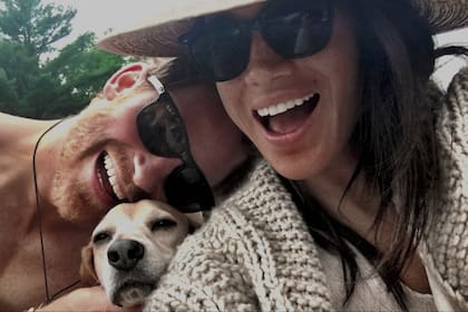 Harry y Meghan conviven con tres perros en California