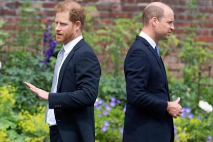 Harry y William son los protagonistas del documental que la BBC emitirá el lunes por la noche y que tiene molestos a los miembros de la realeza británica