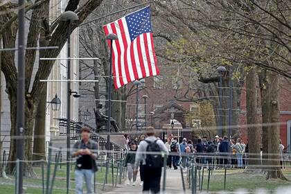 Harvard tiene 24.596 alumnos matriculados este año y 20.667 empleados entre personal docente y no docente
