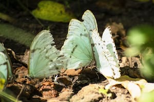 La reserva natural a 120 kilómetros de Capital que nació de una historia de amor