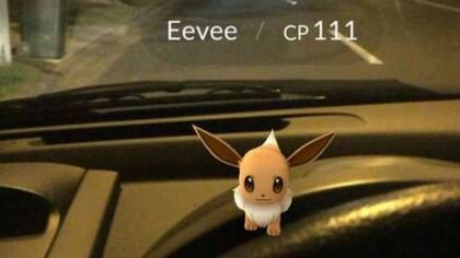 ¿Hasta dónde están dispuestos a llegar los usuarios? "Me paré en la calle, puse mis luces de emergencia y fingí que me había accidentado sólo para capturar un Eevee"