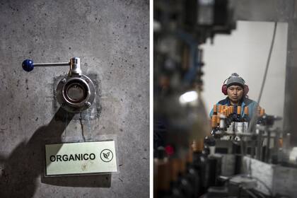 Hasta el 2011, cuando el boom de la producción vitivinícola empezó a bajar, Pelizzatti no se había cuestionado los modos de producir vino.