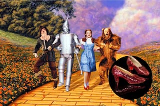 Estuvieron más de 20 años desaparecidos y ahora salieron a la venta: cuánto cuestan los zapatos rojos de ‘El Mago de Oz’