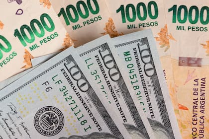 Hasta no despejar la cuestión cambiaria y que haya un solo tipo de cambio es muy difícil que la economía despegue