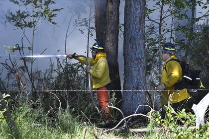 Miembros de un equipo de extinción de incendios forestales del Departamento de Tierras y Recursos Naturales de Hawái en Maui luchan contra un incendio en Kula, Hawai, el martes 8 de agosto de 2023