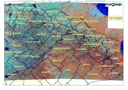 Hay 5,8 millones de hectáreas comprometidas en Buenos Aires