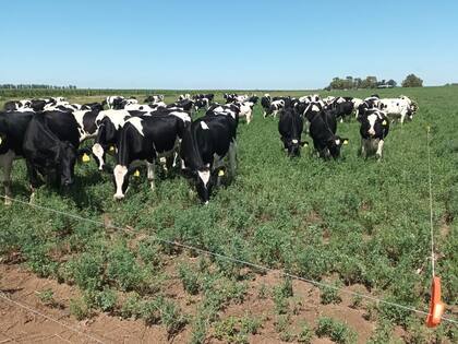 Hay alerta por la presión sobre los precios internos