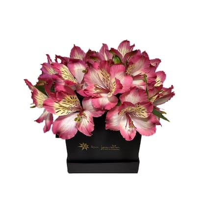 ¿Hay algo más lindo que recibir flores?