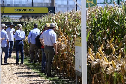 Hay avidez de los productores por los distintos productos y servicios