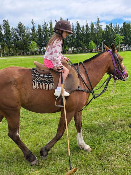Hay caballos mansos para niños de todas las edades