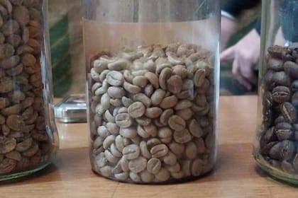 Hay de ocho a 10 variedades que se pueden adaptar a esa parte de la Argentina