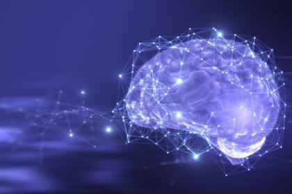 Hay estructuras en el lóbulo frontal del cerebro que intervienen en la inteligencia emocional