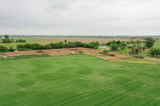 La tierra como refugio de valor: perspectivas ante la baja de las retenciones