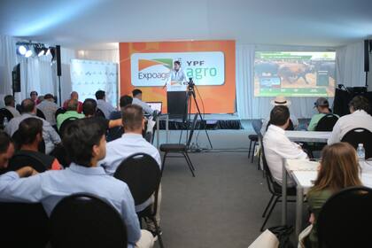 Hay fuerte interés por las subastas