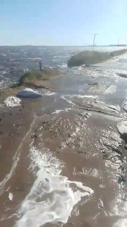 Hay fuerte preocupación en 9 de Julio por la situación en los campos