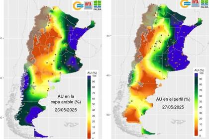 Hay importantes niveles de reserva de agua útil en el suelo