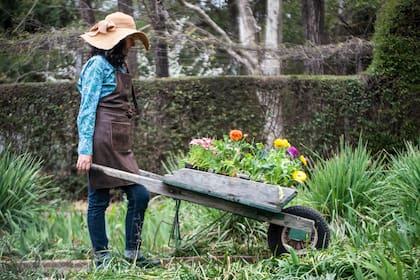 Hay jardines que florecen cuando el resto del mundo duerme