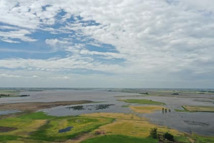 “Hay lugares donde el agua está igual que en mayo”, advirtieron los productores