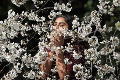 Hay más de 200.000 especies de plantas con flores