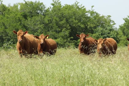 Hay mayor digitalización del registro