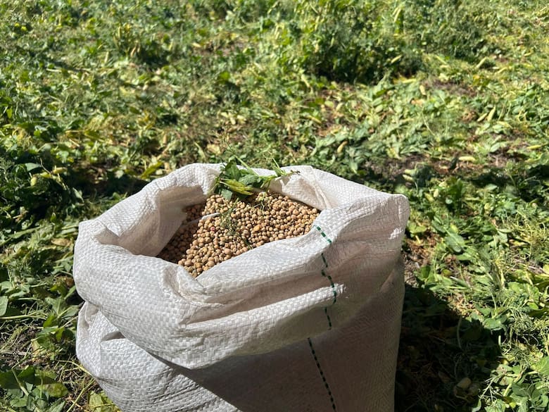 Innovación y sostenibilidad: los desafíos de la agricultura de la mano de Aapresid