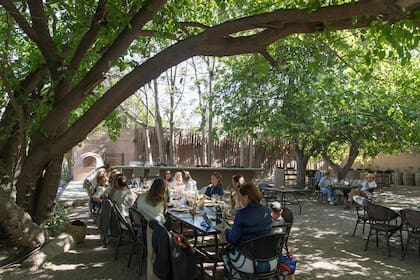 Hay mesas que se colocan afuera, debajo de los árboles