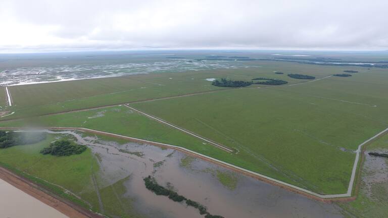 Desafíos y éxitos en el Chaco Paraguayo: la historia de Matías Carreras y su revolución ganadera