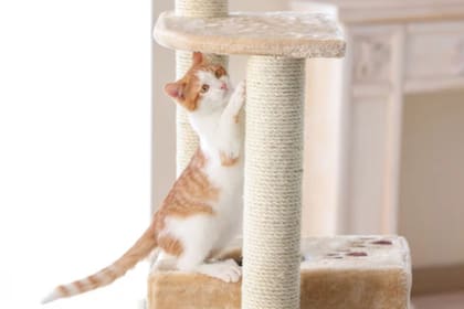 Hay muchas alternativas para realizarlos manualmente