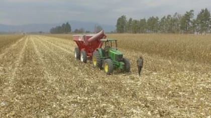 Hay muchas provincias con foco en la agrobioindustria