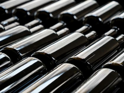 Hay muchas variantes de uva que son características de la Argentina