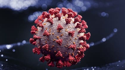 Las proteínas pico, que rodean al virus, son las que presentan mutaciones para atacar más efectivamente a las células del cuerpo humano