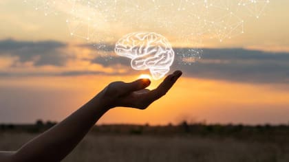 Hay ocho tipo de vitaminas que benefician la salud neuronal
Foto: iStock