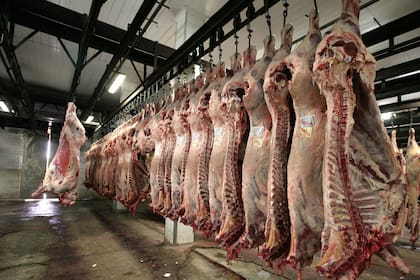 En carne bovina China es el principal comprador que tiene la Argentina