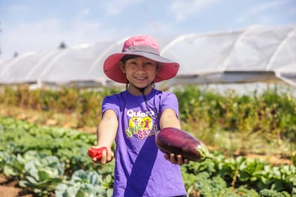Hay organizaciones que brindan despensas y alimentos a personas de bajos recursos (FB FeedingAmerica)
