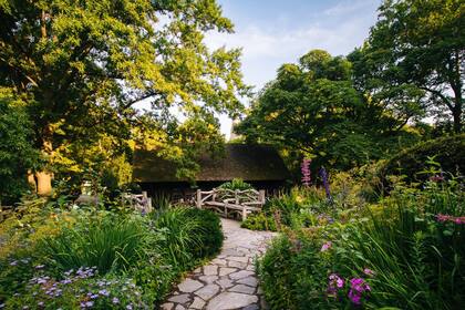 Hay personas que eligen hablarles, cantarles o tocarlas ya que se ha demostrado que las plantas escuchan y reciben el amor que se les da